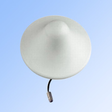 Omni-Directional Ceiling-Mount Antenna