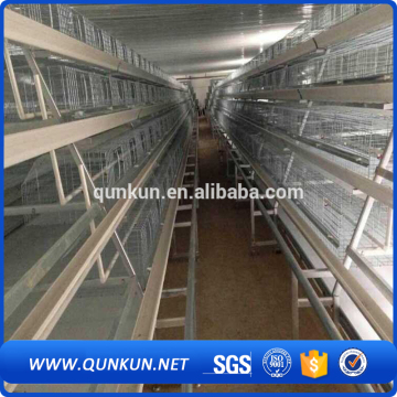 Automatic poultry layer cages/design layer chicken cages/poultry battery cages