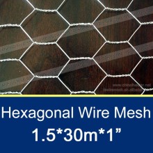 1m*50m Hexagonal Wire Netting / Metal Chicken Mesh Roll