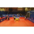 Pisos de tenis de mesa de gama alta aprobados por la ITTF de 5,5 mm