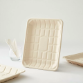 Biodegradable Sugarcane Bagasse Tray Featuring Corrugated Surface