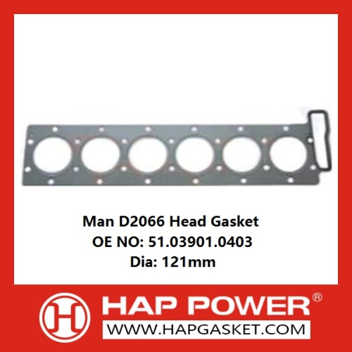 Man Head Gasket 51.03901.0403