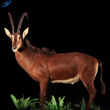 Model rusa animatronik ukuran hidup untuk pertunjukan