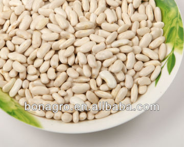 white medium kidney bean/kidney bean