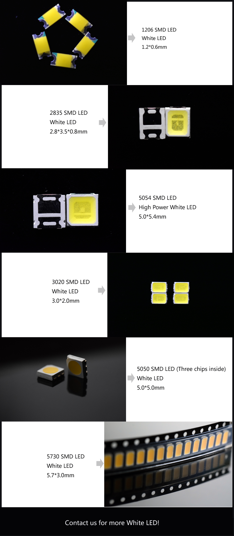 white LED catalog