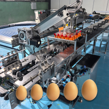 Egg Washing and Grading Machine: Multi-Function Automation