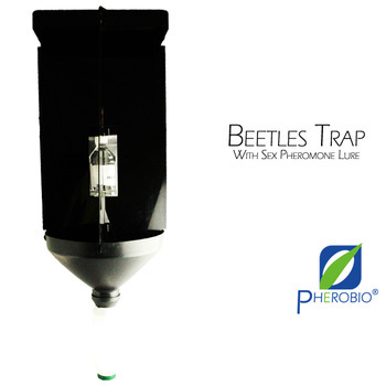 Beetle Pheromone Trap (Sex Pheromone Lure Included)