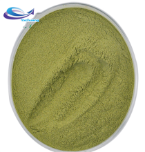 Natural andrographis paniculata powder pure andrographolid