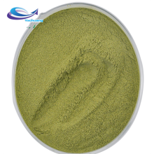 Natural andrographis paniculata powder pure andrographolid