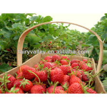 Newest High Quality Strawberry plants seeds wholesale growing strawberries from seeds