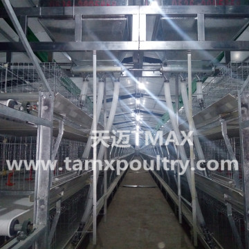 Chicken Cages for Layer
