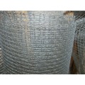 Galvanized Square Wire Mesh