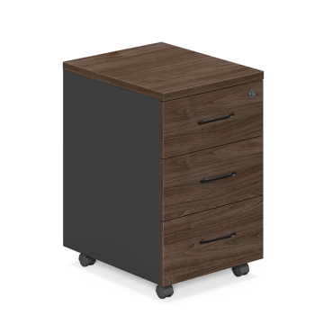 Modern Wood File Cabinet with Castors