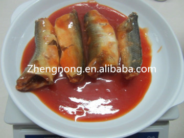 Canned Jack Mackerel Fish in Tomato Sauce