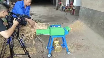 Grass Chopper Machine for Animals Feed Corn Wheat Straw Chopper