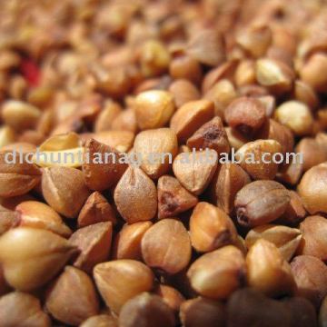 organic roasted buckwheat kernel