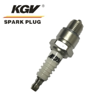 Small Engine Double Iridium Spark Plug D-BR8HIX