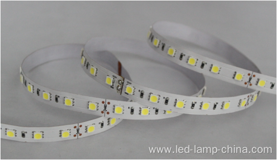 24V 5050SMD Flexible LED Strip