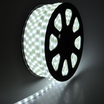 Top Quality led flexi rope light with certificate