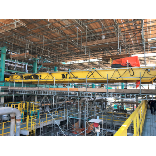Special Crane for Petrochemical Industry