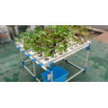 Square Pipe Hydroponic Systems Indoor Hydroponic Systems