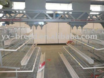 automatic chicken feed system and chicken cages