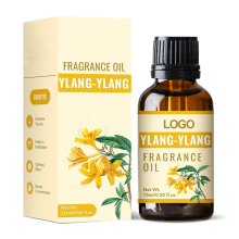 Cosmetic Grade Ylang Ylang Flower Essential Oil Organic 100% Pure Ylang Ylang Essential Oil With Cheap Price Sell in Bulk