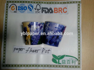 Paper mache flower pot,Paper flower pots,paper pots