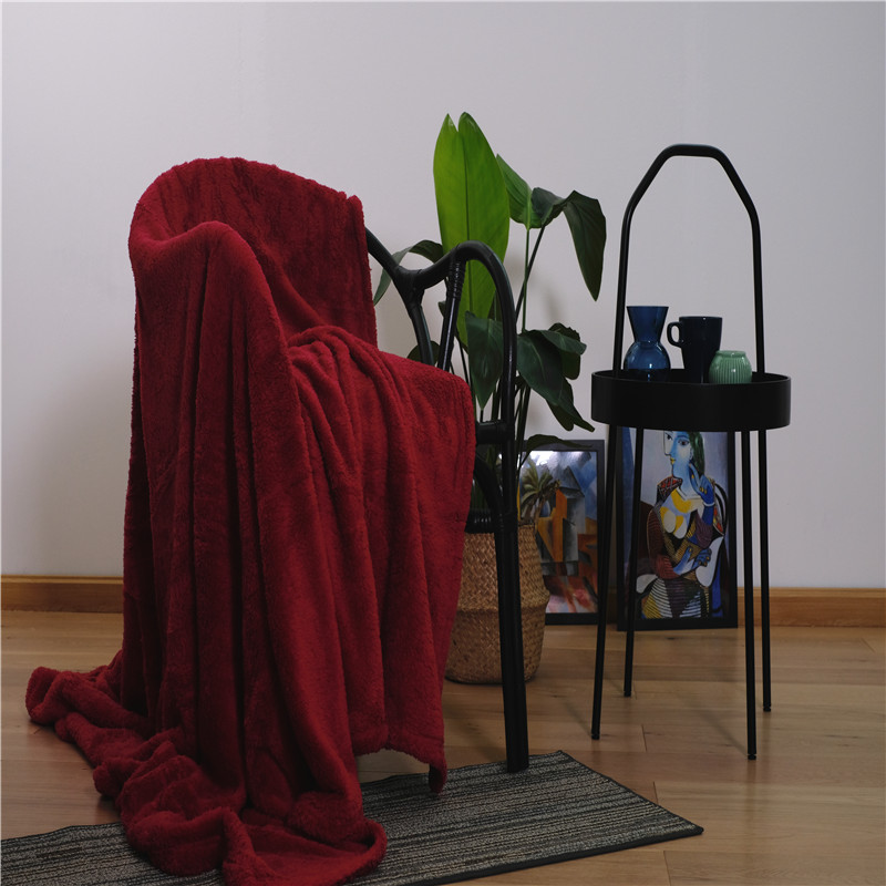 Indoor Fleece Throws Blanket