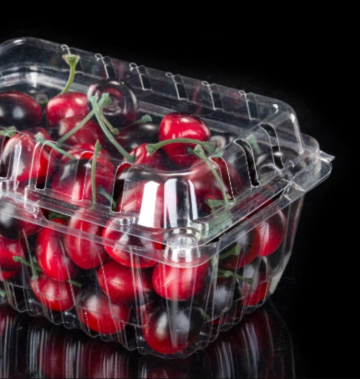 Plastic Fruit Container For Fruit