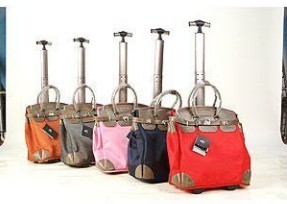 Marksman trolley luggages