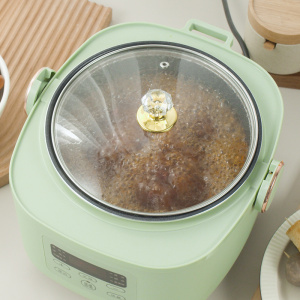 Multi function nonstick rice cooker with steamer 2021