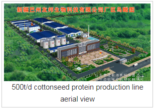 Línea de producción de proteína de semilla de algodón Cottonseed Protein Production Line