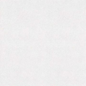 Pure White Matt Finished Rustic Porcelain Tile