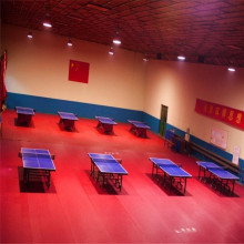 Y-14170 سجادة تنس الطاولة ITTF المعتمدة