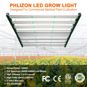 LED công suất cao phát triển ánh sáng 1000W