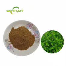 Plant Extract Madder Extract