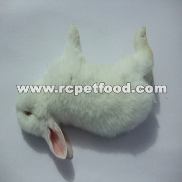 Frozen rabbit for snake for reptile food