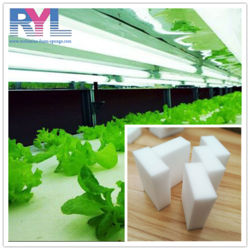 Water Retention Material Hydroponic Agriculture Foam Greenhouse Technology