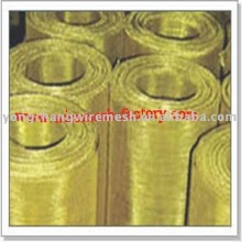 Phosphor Bronze wire mesh