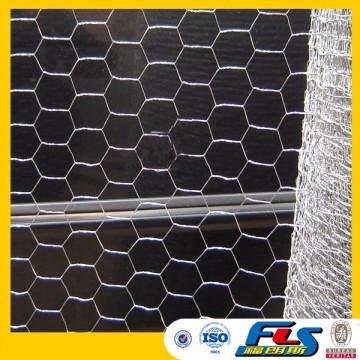 Stucco Chicken Wire Mesh/Plaster Hexagonal Wire Mesh