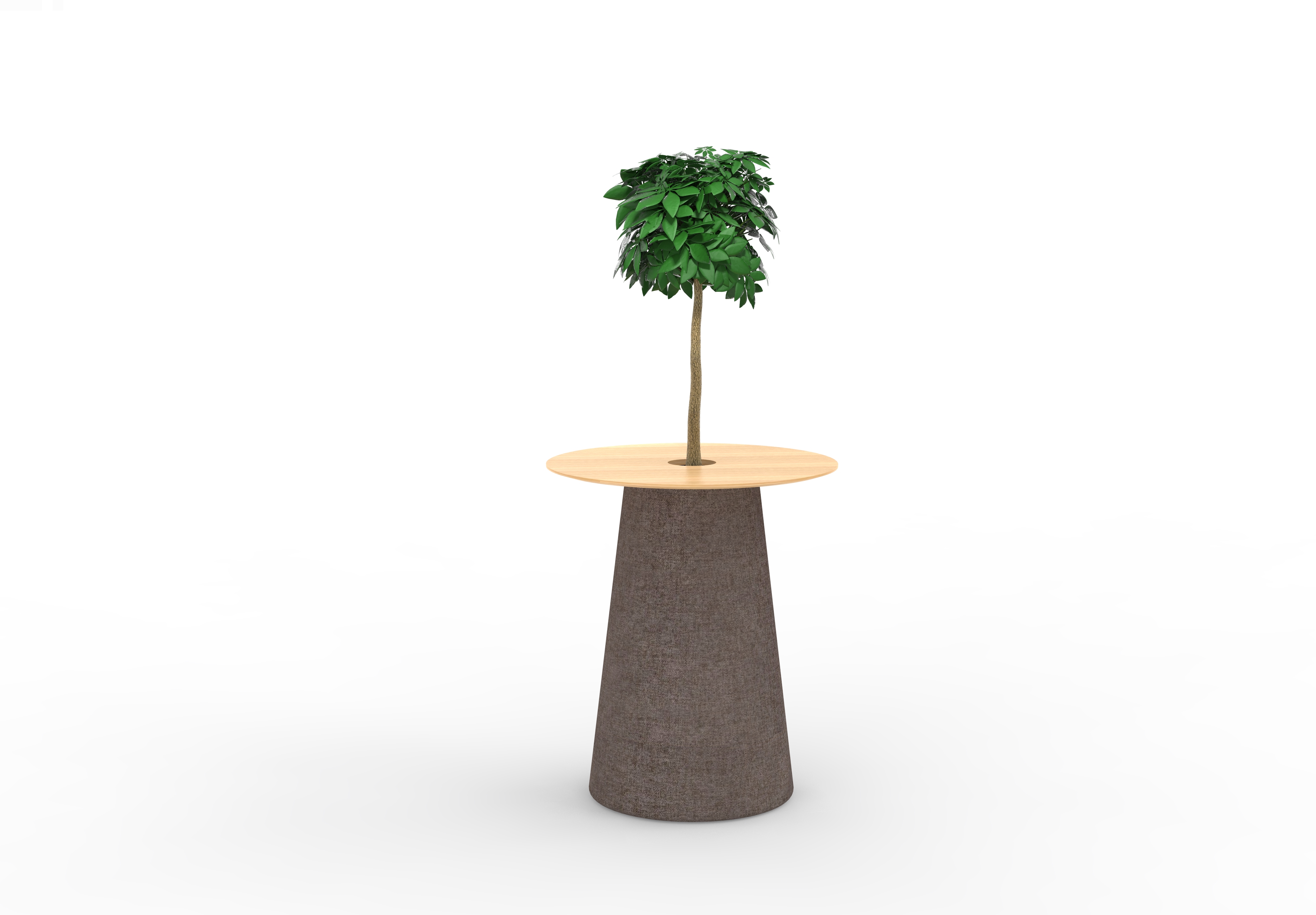 Tree-C2-101 Tree-C2-101