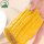 Meal Corn Cob