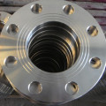 Din 2573 slip keluli palsu pada flange rf