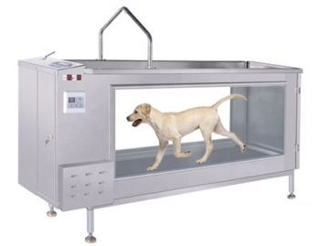 Pet Treadmill