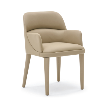 Tender Modern Fancy Comfortable Dining Chairs
