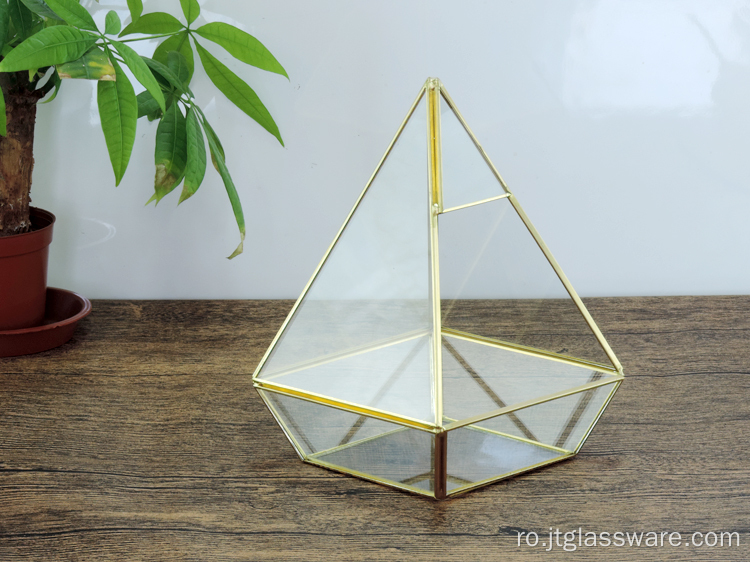 Terariu suculent din sticlă geometrică pentru nunta de aur