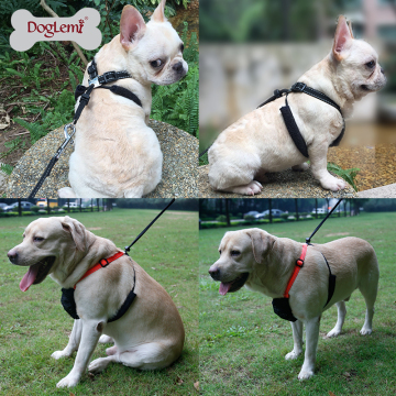 Anti Pulling Mesh Pet Harness Non Pulling Dog Harness