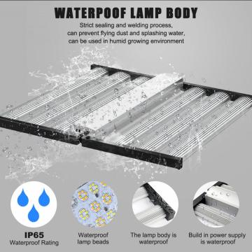 Waterproof Led grow Light 800W