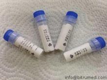 Mouse anti - Methaqualonum Antigen Hybridoma Monoclonal Ant